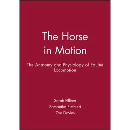 Horse Motion