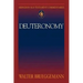 Abingdon Old Testament Commentaries: Deuteronomy