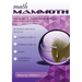Math Mammoth Grade 1 Answer Keys, International Version