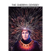 The Cherryh Odyssey