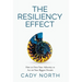The Resiliency Effect: How to Own Your Adversity to Act on Your Biggest Dreams