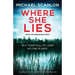 Where She Lies: A gripping Irish detective thriller with a stunning twist
