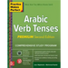 Practice Makes Perfect: Arabic Verb Tenses, Premium Second Edition