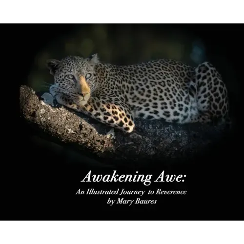 Awakening Awe: An Illustrated Journey to Reverence