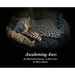 Awakening Awe: An Illustrated Journey to Reverence