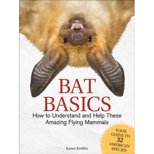 Bat Basics: How to Understand and Help These Amazing Flying Mammals