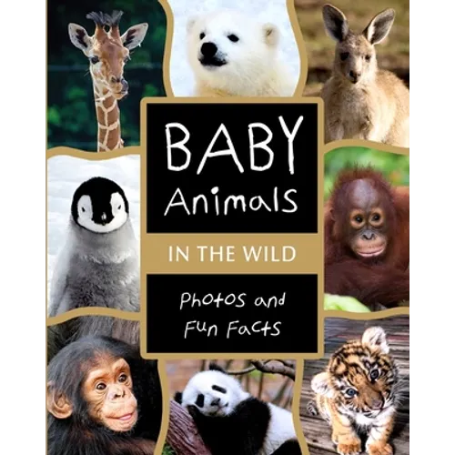 Baby Animals in the Wild: Photos and Fun Facts