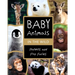 Baby Animals in the Wild: Photos and Fun Facts