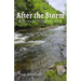 After the Storm: A Vermont Village Mystery