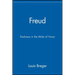 Freud: Darkness in the Midst of Vision