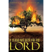 If It Had Not Been for the Lord