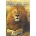 Where Lions Roar: Ten more years of African Hunting