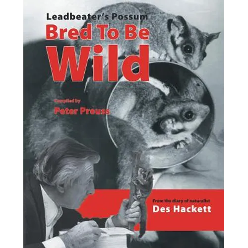 Leadbetter's Possum: Bred to Be Wild