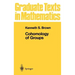 Cohomology of Groups