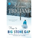 Home to Big Stone Gap