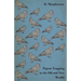 Pigeon Trapping in the Old and New Worlds