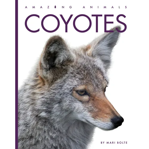Coyotes