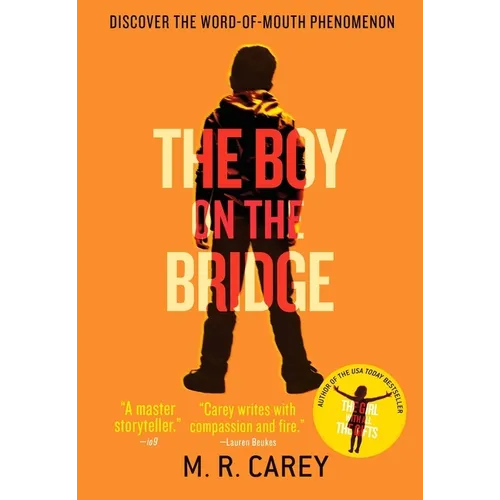 Boy on the Bridge