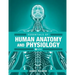 Essentials of Human Anatomy and Physiology
