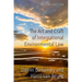 The Art and Craft of International Environmental Law