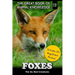Foxes: The Sly Red Creatures