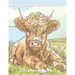 Baby Highland Cow Coloring Book: Scottish Calf Coloring Book filled with Baby Cows and Highland Cows for Adults, Teens & Children