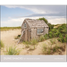 Dune Shacks of Provincetown