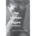 The Human Figure
