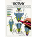 Botany Coloring Book