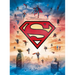 DC: Superman Tiny Book