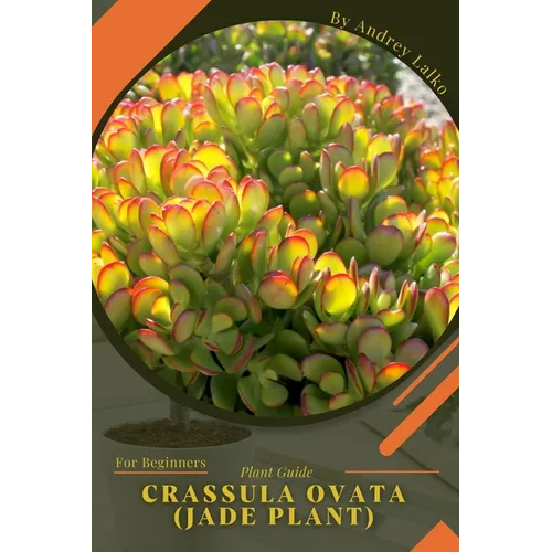 Crassula ovata (Jade plant): Plant Guide