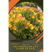 Crassula ovata (Jade plant): Plant Guide