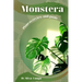 Monstera: Plant overview and guide