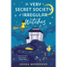 The Very Secret Society of Irregular Witches: A romantic cozy fantasy