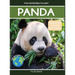 Panda: Fascinating Animal Facts for Kids