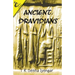 Ancient Dravidians