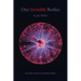 Our Invisible Bodies: Scientific Evidence for Subtle Bodies