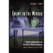 Enemy in the Mirror: Islamic Fundamentalism and the Limits of Modern Rationalism: A Work of Comparative Political Theory
