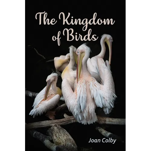 The Kingdom of Birds