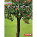 Parts of a Tree