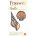 Shells of North America