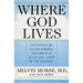 Where God Lives: The Science of the Paranormal and How Our Brains Are Linked to the Universe