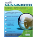 Math Mammoth Grade 1-B Worktext