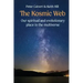 The Kosmic Web: Our spiritual and evolutionary place in the multiverse