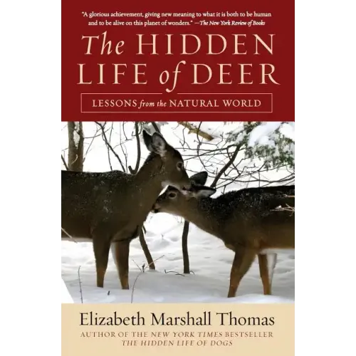 The Hidden Life of Deer: Lessons from the Natural World