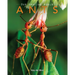 Ants: Amazing Pictures & Fun Facts on Animals in Nature