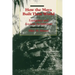 How the Maya Built Their World: Energetics and Ancient Architecture
