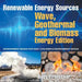 Renewable Energy Sources - Wave, Geothermal and Biomass Energy Edition: Environment Books for Kids Children's Environment Books