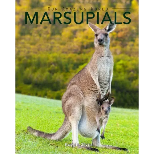 Marsupials: Amazing Pictures & Fun Facts of Animals in Nature