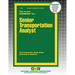 Senior Transportation Analyst